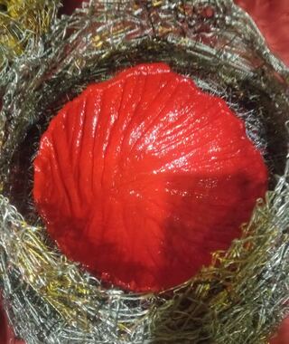 Nido di fuoco, foto 4