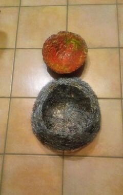 Nido di fuoco, foto 6