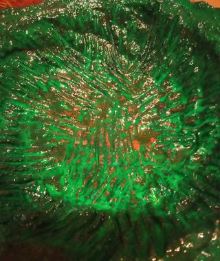 Verde notte